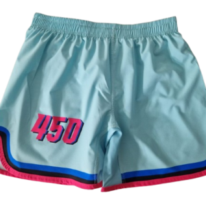 MMA Shorts 8